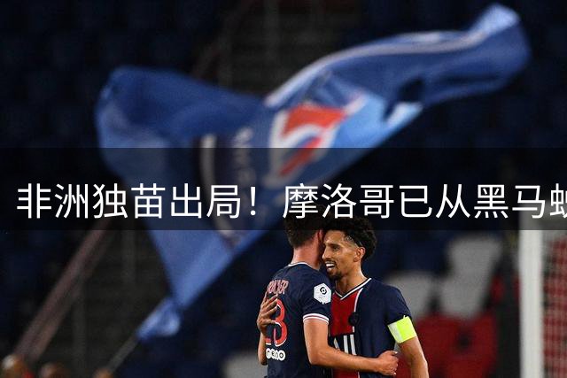 非洲独苗出局！摩洛哥已从黑马蜕变为劲旅 四年后主场见