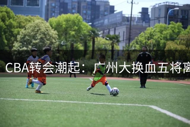 CBA转会潮起：广州大换血五将离队 青岛率先锁定三外援阵容